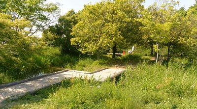 🏞️ 이와쿠라시 자연생태원(이와쿠라시 시젠세이타이엔) 이미지 2